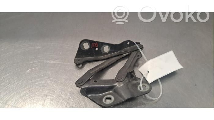 Ford Transit Dzinēja pārsega eņģe (-es) 