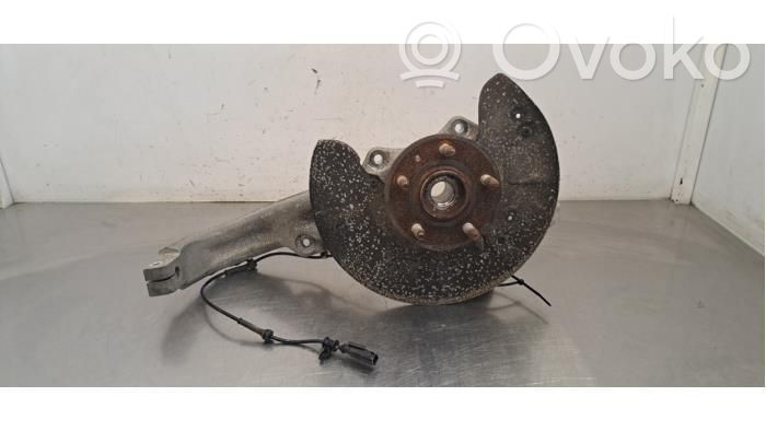 Achsschenkel vorne   102731100F