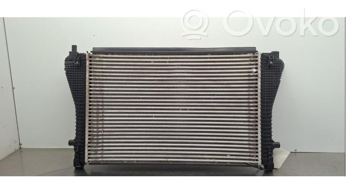 Volkswagen Golf VIII Radiador intercooler 
