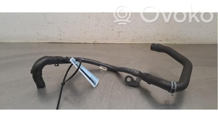 Volkswagen Golf VIII Przewód / Wąż chłodnicy 