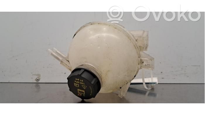 Zbiornik wyrównawczy chłodziwa   PZ318A080AB,2653958