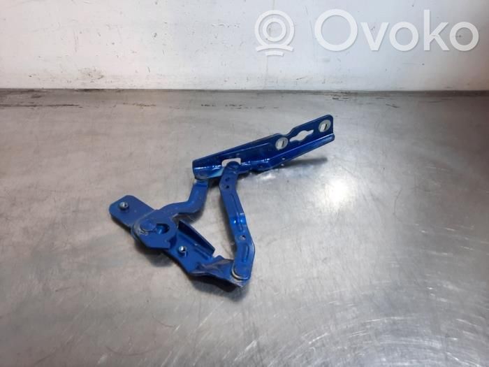 Ford Ecosport Engine bonnet/hood hinges 