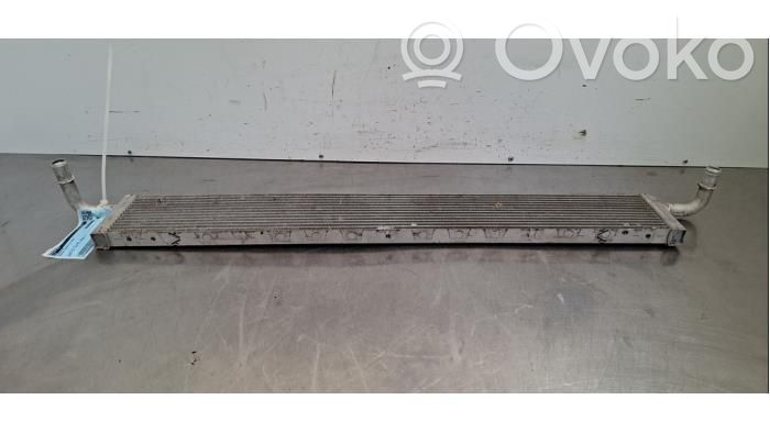 Renault Trafic III (X82) Supporto di montaggio del filtro dell’olio 