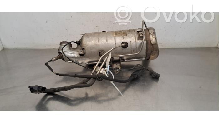 Catalyst/FAP/DPF particulate filter   9839652280,1631621980,1686229680,9822860580