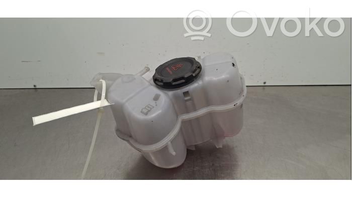 Volkswagen ID.4 Vas expansiune/rezervor lichid de răcire 