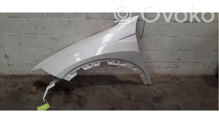 Citroen C5 X Guardabarro 