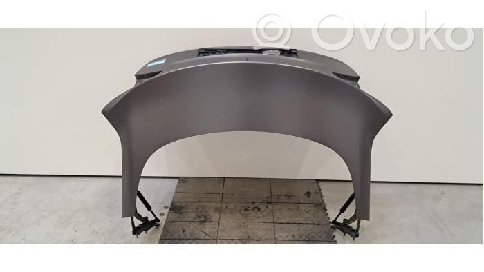 Tailgate/trunk/boot lid   1081460E0D