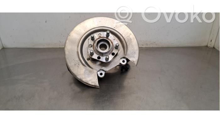 Achsschenkel hinten   218841620C
