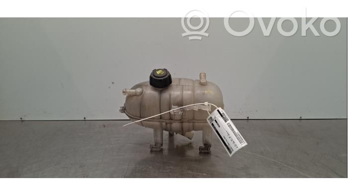 Renault Trafic III (X82) Vase d'expansion / réservoir de liquide de refroidissement 
