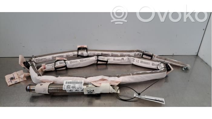 Audi e-tron Airbag del techo 