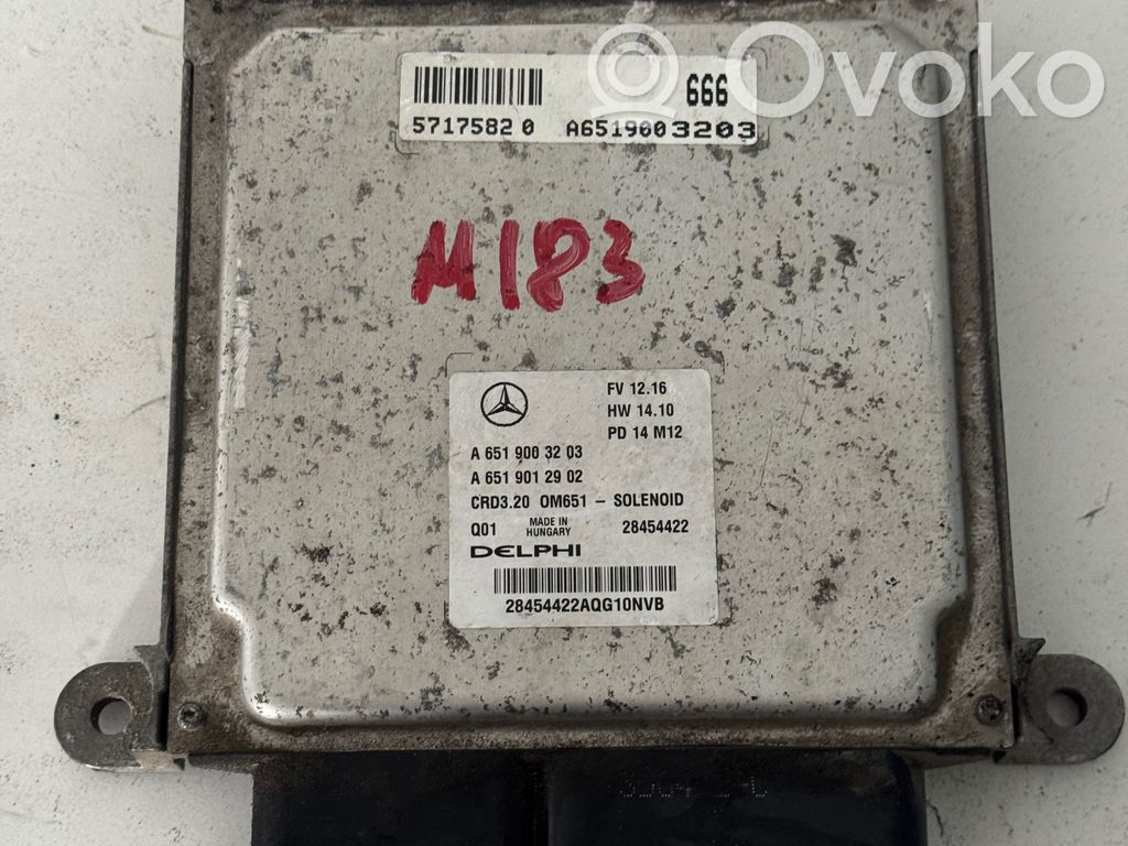 Mercedes-Benz Sprinter W906 Engine control unit/module 