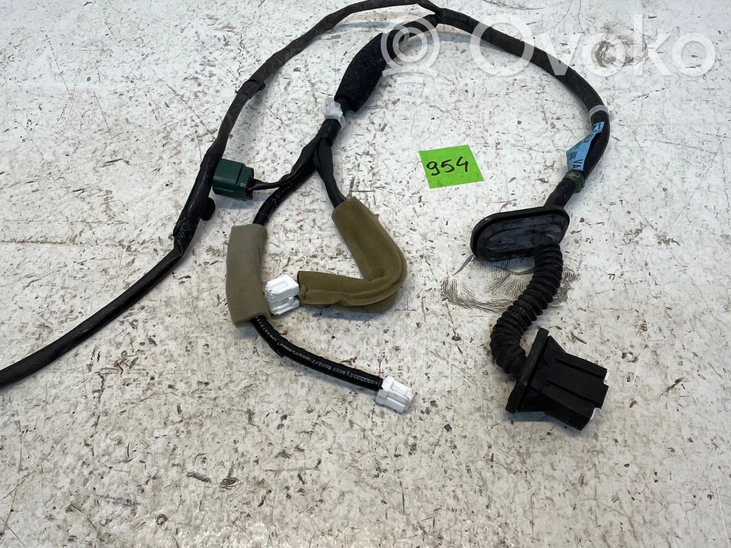 Nissan Leaf I (ZE0) Wiązka przewodów drzwi tylnych 