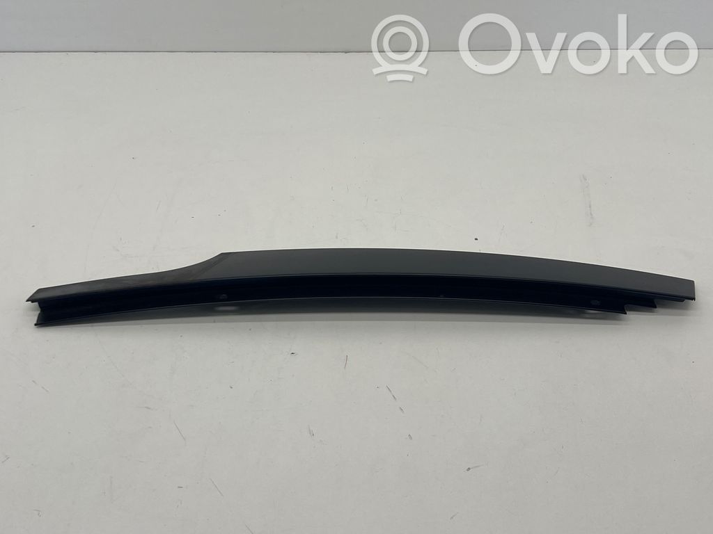 BMW X3 G01 Listwa / Uszczelka szyby drzwi tylnych 