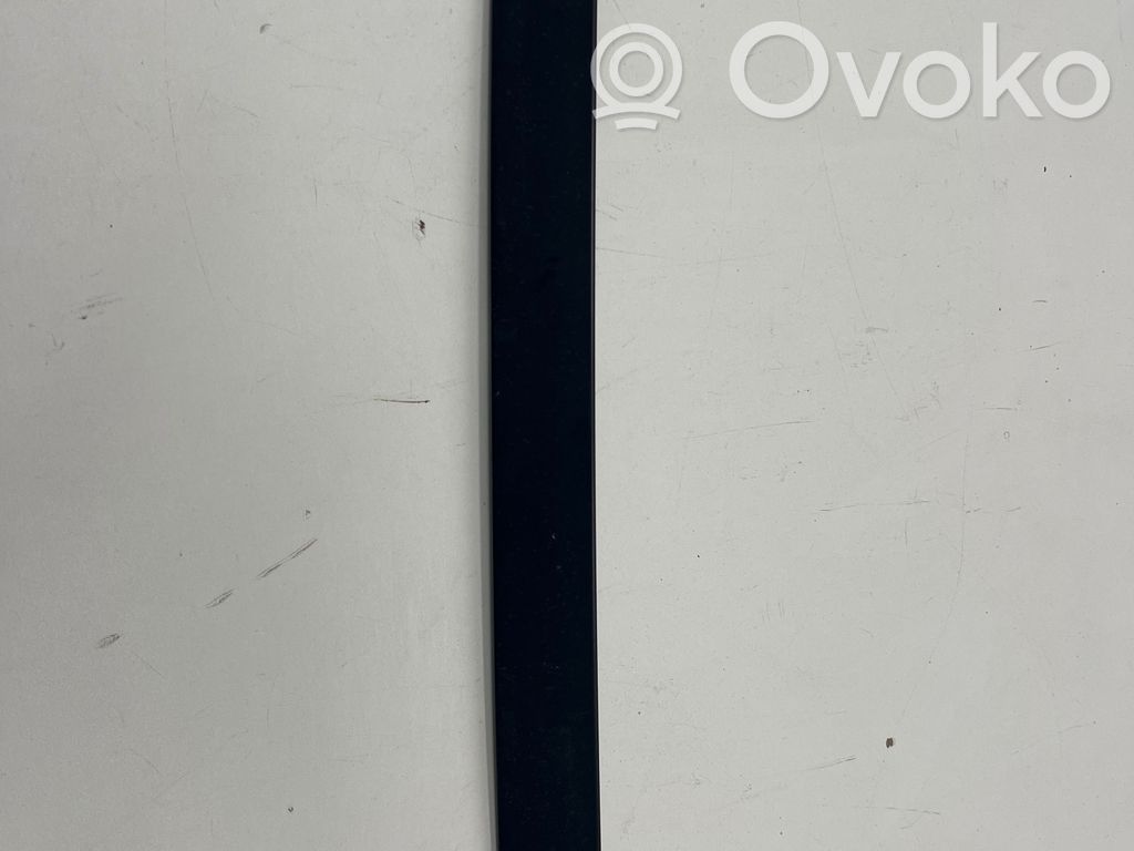 BMW X3 G01 Ornament geam ușă spate 