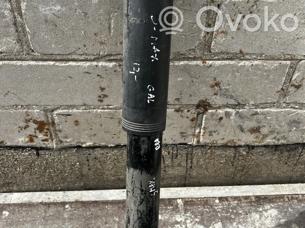 Ford S-MAX Stoßdämpfer hinten 