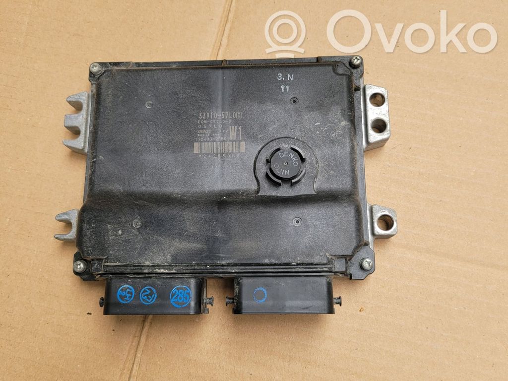 Engine control unit/module   3391057L0
