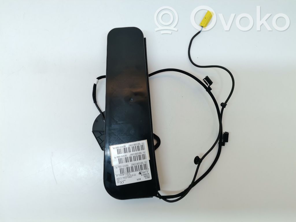 Airbag del asiento   1867899,1867899,AV11R611D11AE,SFJB