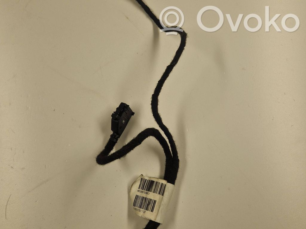 Front door wiring loom   4E0971663