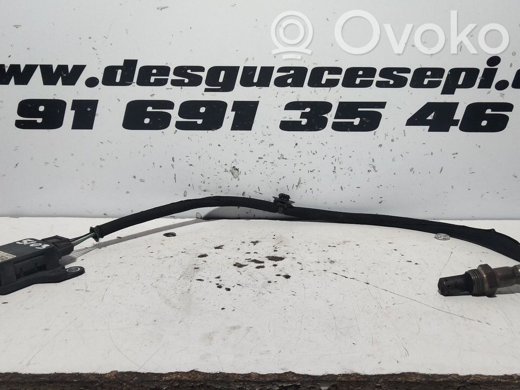 Citroen Berlingo Sensor 