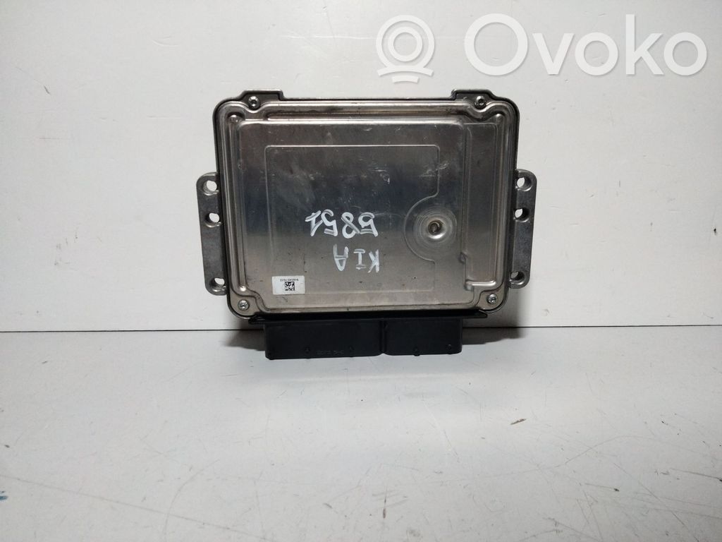 Engine control unit/module   0281019595,391202A410
