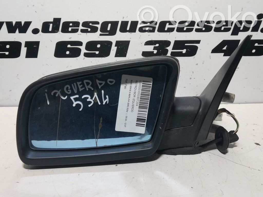 Front door electric wing mirror