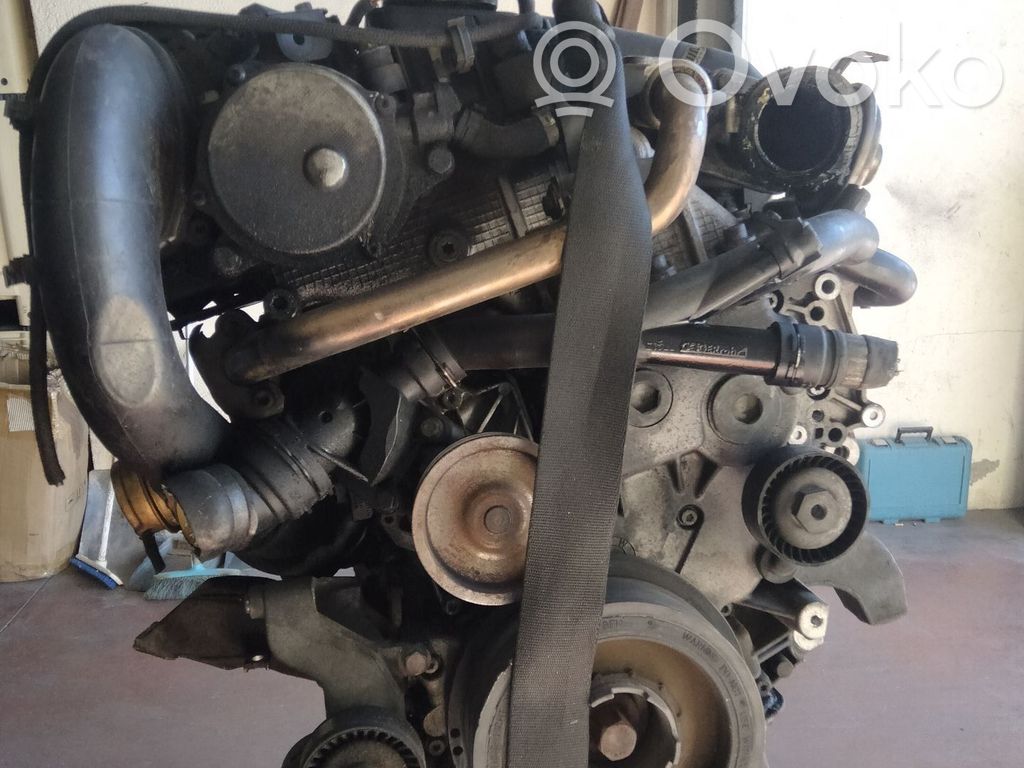 Variklis   204D4