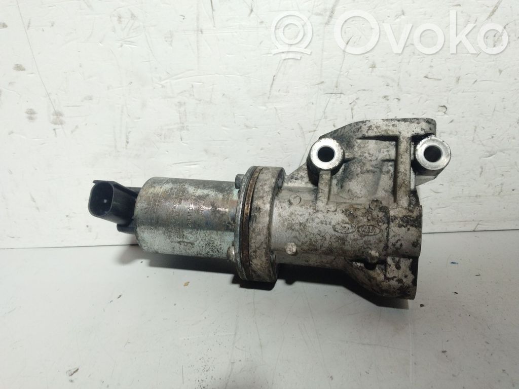 Válvula EGR   284102A120