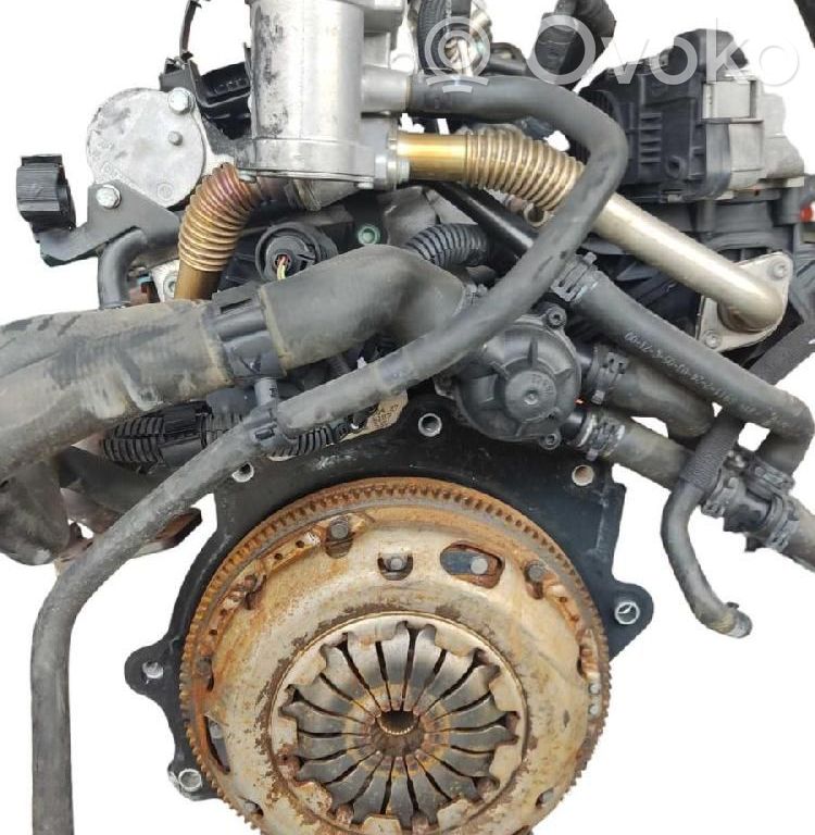 Motor   BLF