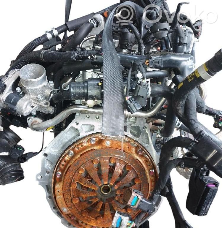 Motor   1B07103U02