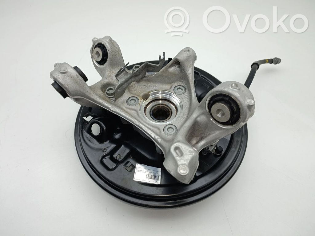 Pivot de moyeu arrière   1EA505436M,1EA609076