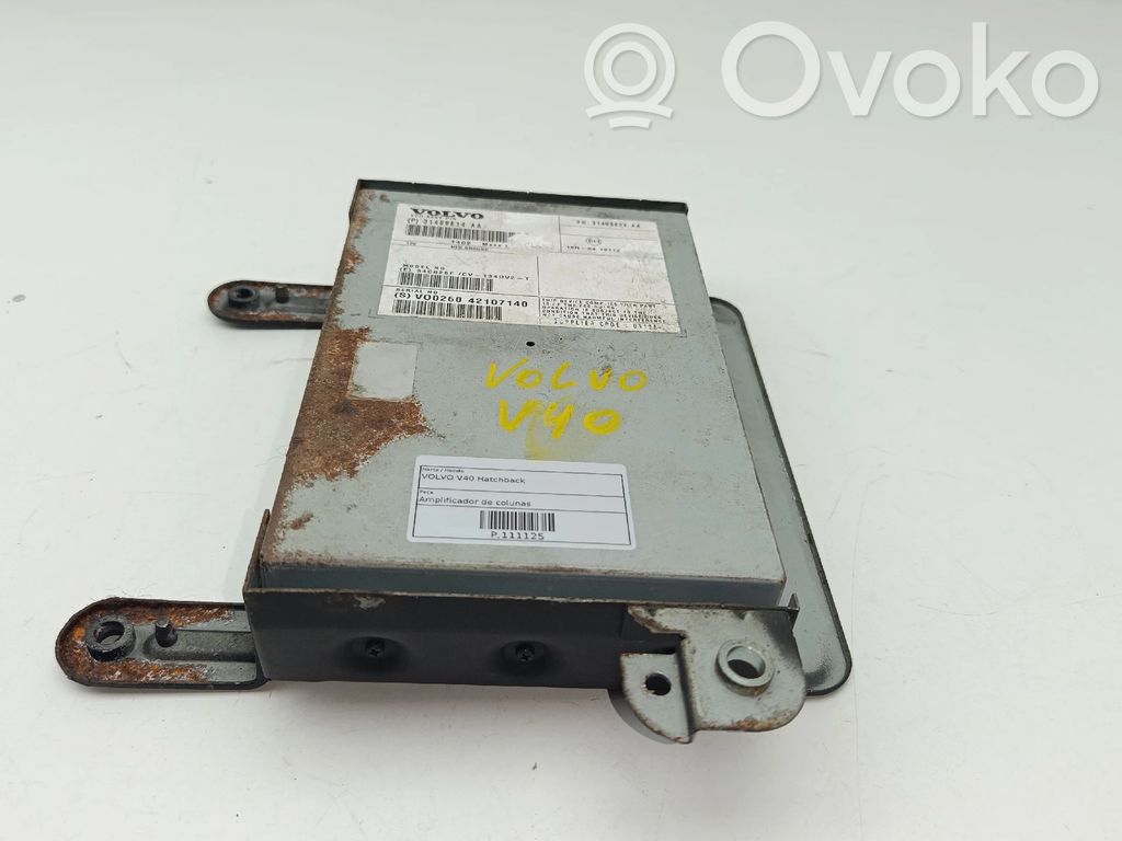 Sound amplifier   31409614AA,31409622AA