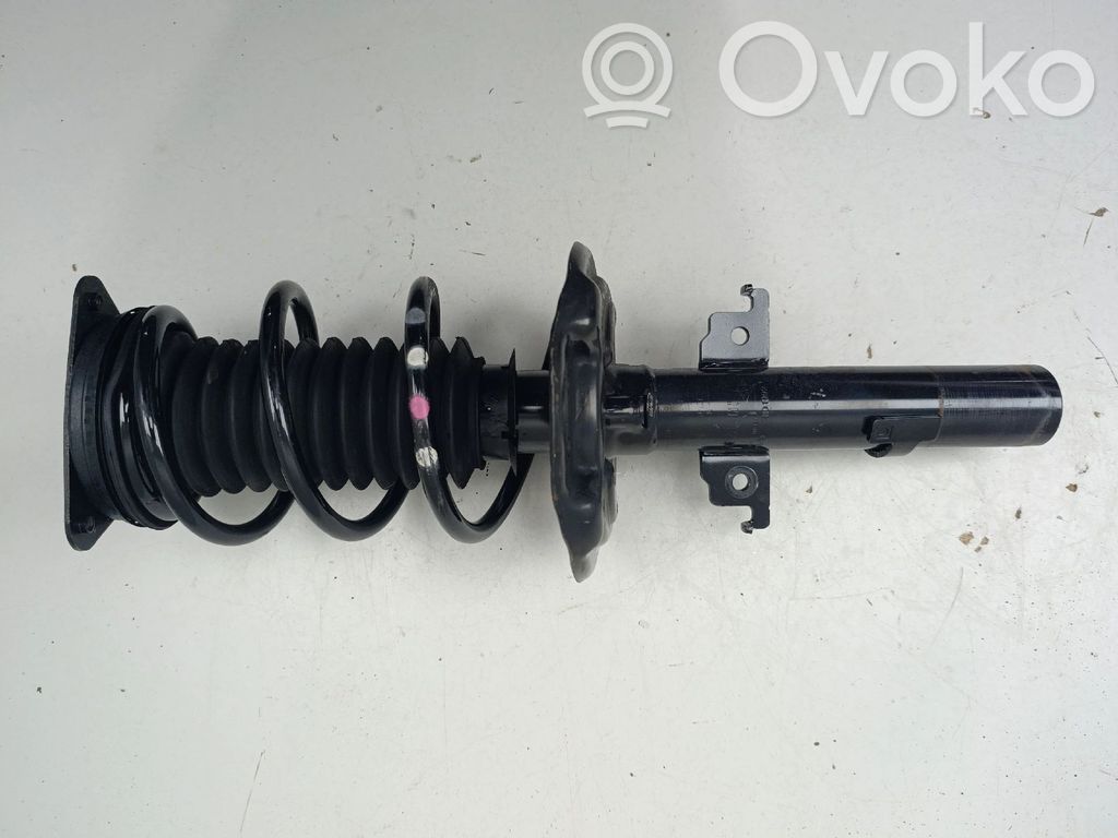 Stoßdämpfer vorne   543206968R
