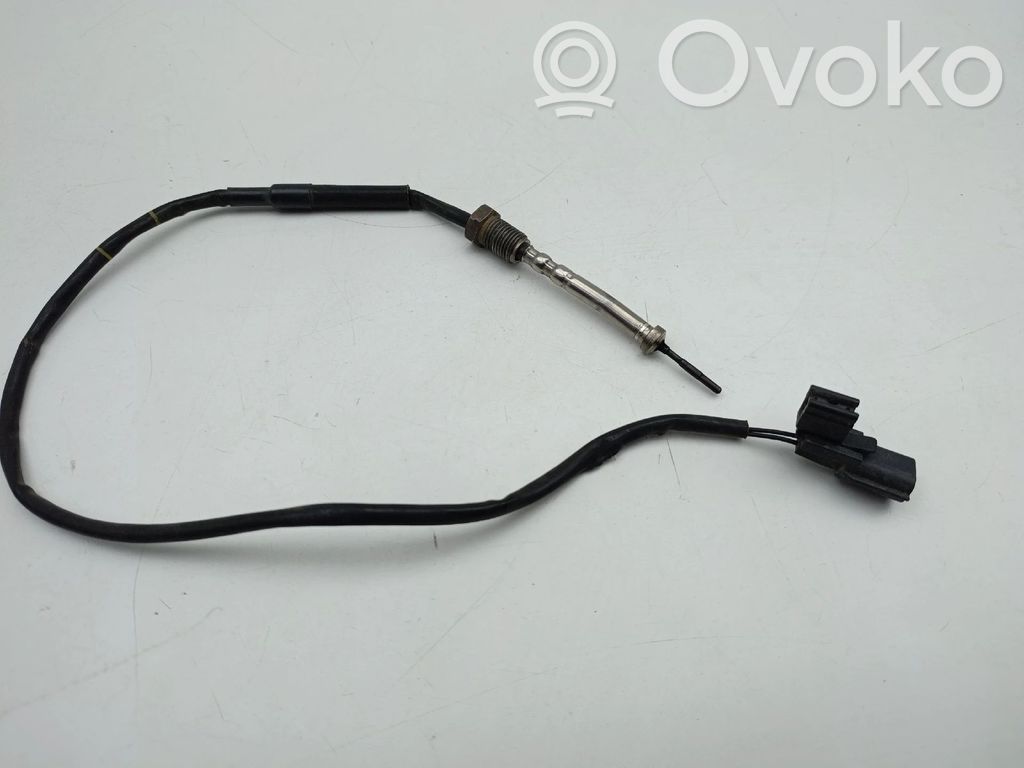 Outside/external air temperature sensor   226402233R