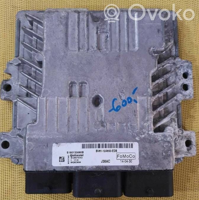 Ford Focus Engine control unit/module ECU 
