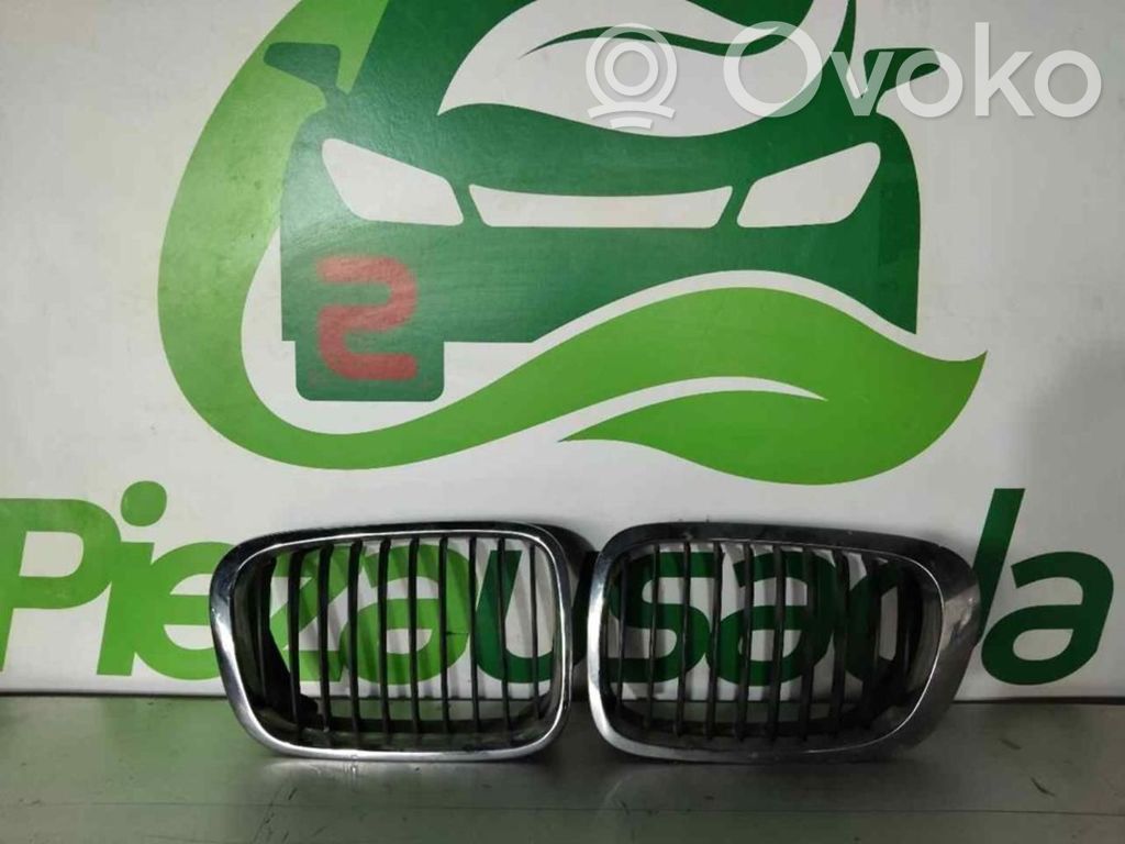 BMW 3 E46 Rejilla delantera 