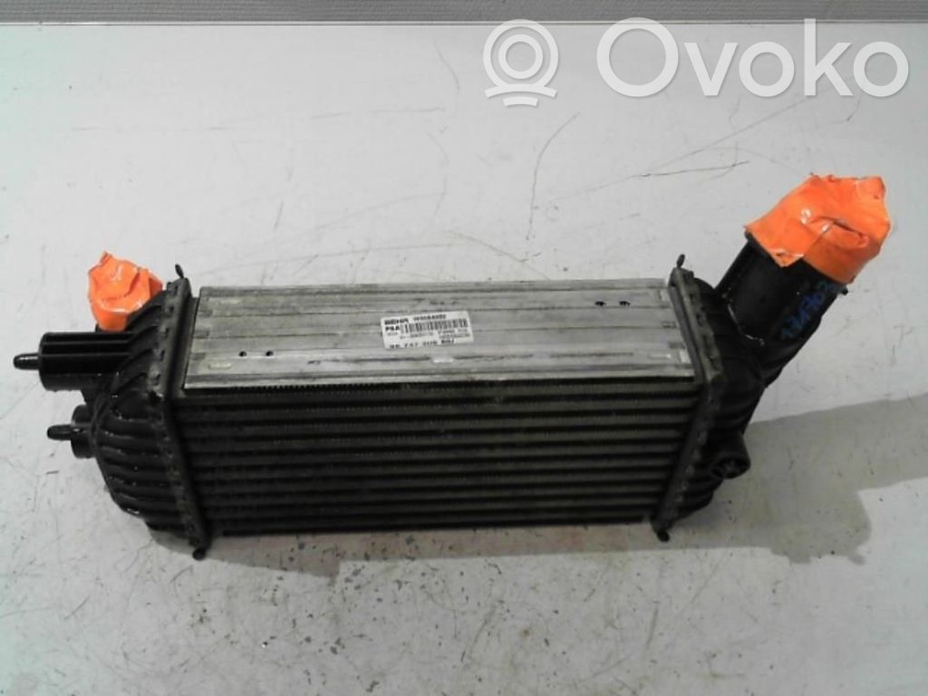 Intercooler radiator   00000384P8,30462