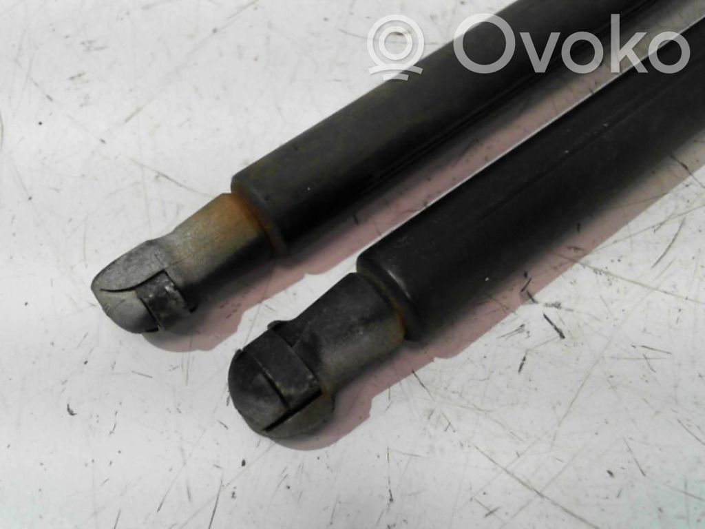 Audi A3 S3 8P Tailgate/trunk strut/damper 