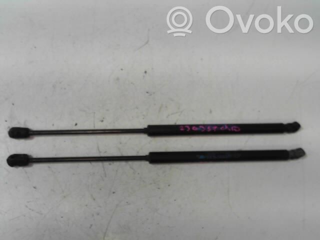 Renault Clio III Tailgate/trunk strut/damper 