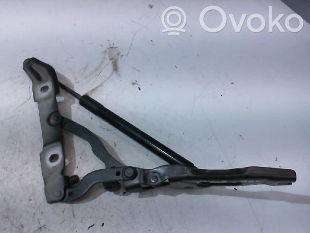 BMW 1 E82 E88 Tailgate/trunk/boot hinge 