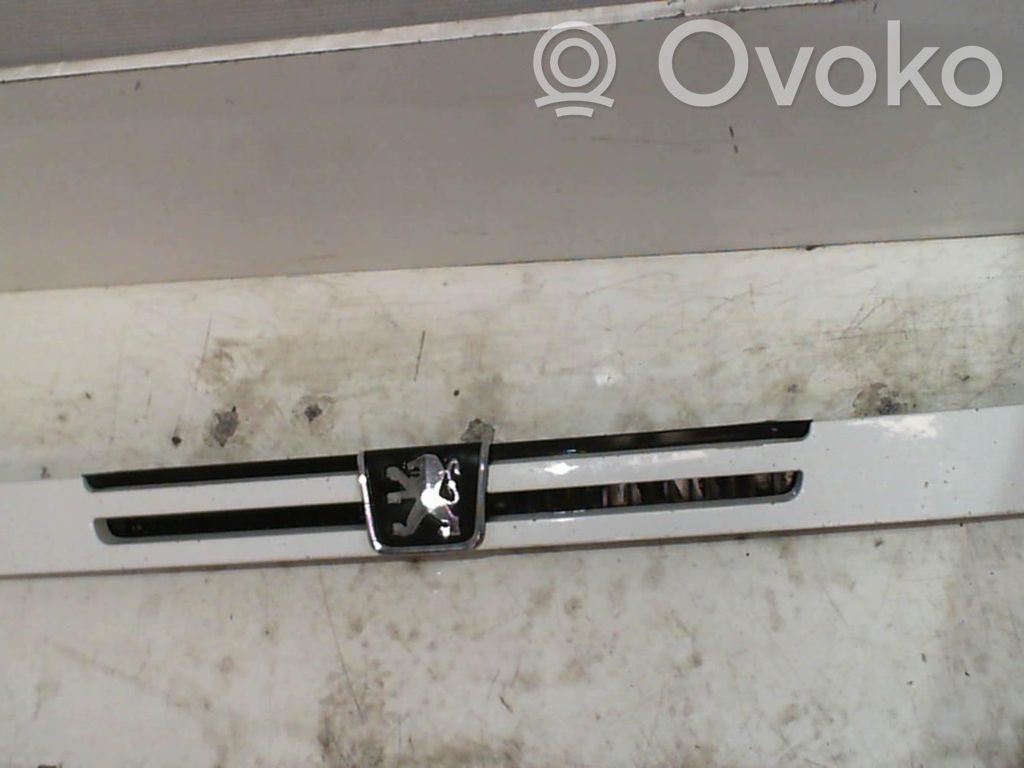 Peugeot Boxer Etusäleikkö 