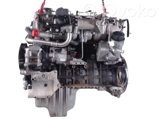 SsangYong Rodius Motor 