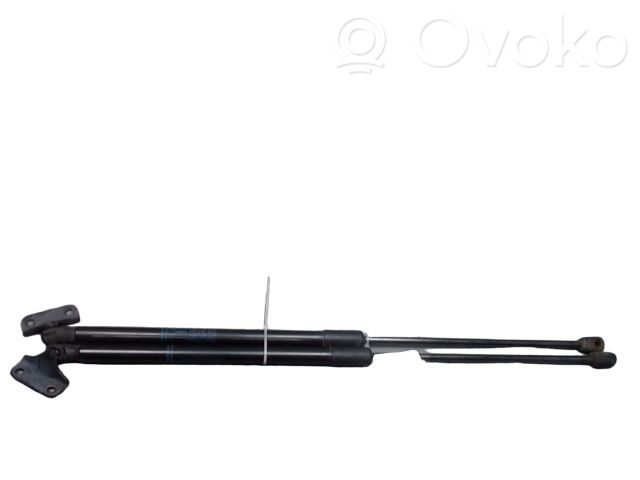 Tailgate/trunk strut/damper   39089133,132124,13428038,142228,2110671,39089133,BSG65980030