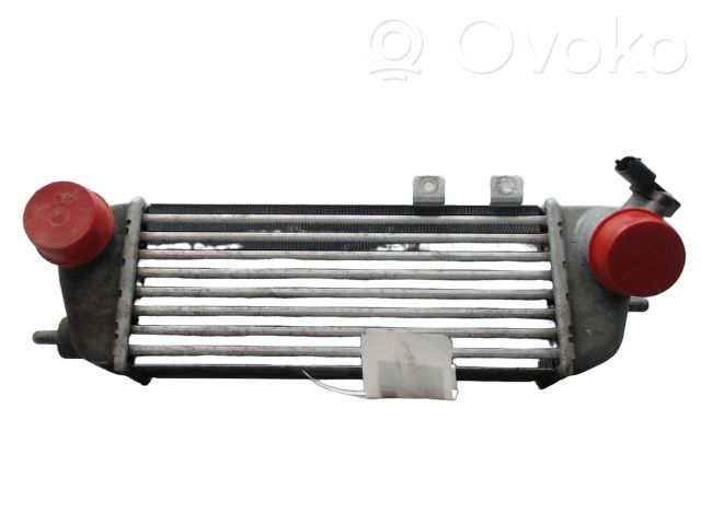 Intercooler radiator   282702A610,0190180001,07333004,1040021SX,107104,264102A150,264102A300,264102A500,264102A501,264102A650,2827027060,282702A610,282702A611,282712A600,30305,351319200353,517012N,715004,82014227,865M10A
