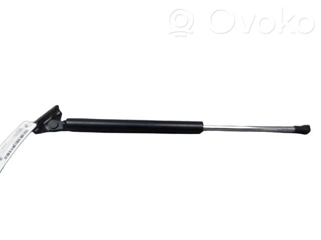 Citroen C4 Aircross Tailgate/trunk strut/damper 