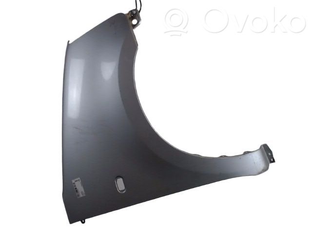 Guardabarro   5761183E00,5761183E00