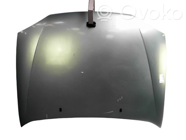 Ford Fiesta Motorhaube 