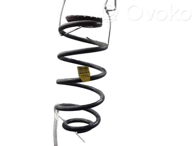 Chevrolet Aveo Rear coil spring 