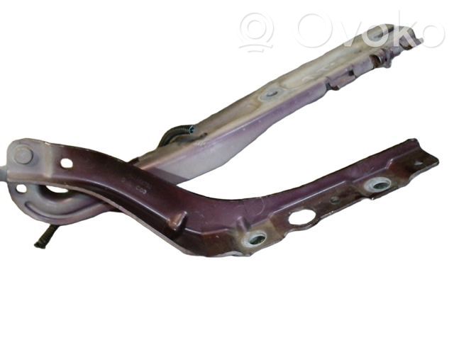 Peugeot 407 Balamale capotă 