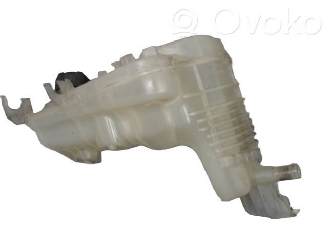 Renault Laguna III Serbatoio di compensazione del liquido refrigerante/vaschetta 