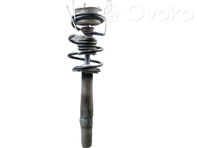 Stoßdämpfer vorne   31306775055,310273,31306775055